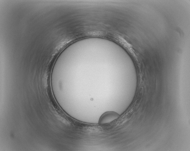 X0000116430106200912221513