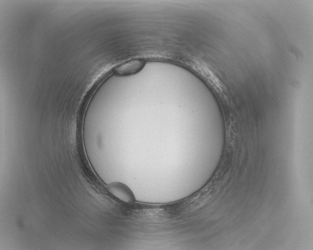 X0000116430108200912221513