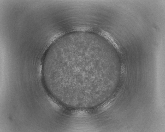 X0000116430110200912221512