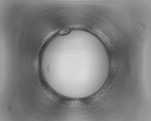 X0000116430112200912221512