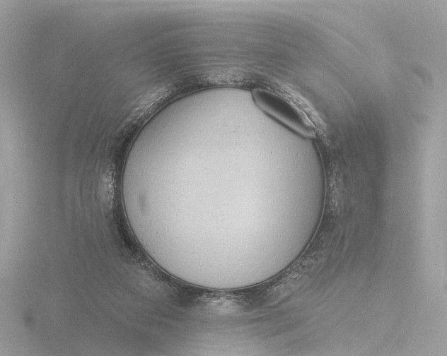 X0000116430113200912221512