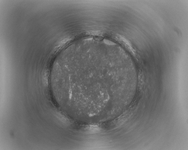 X0000116430114200912221512