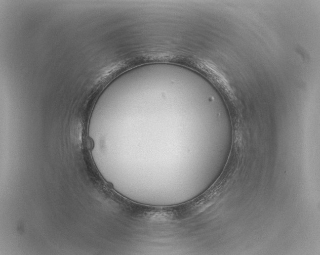 X0000116430115200912221512