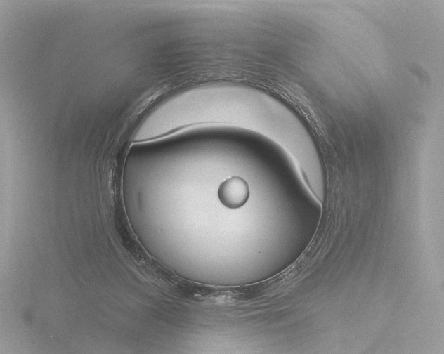 X0000116430116200912221512