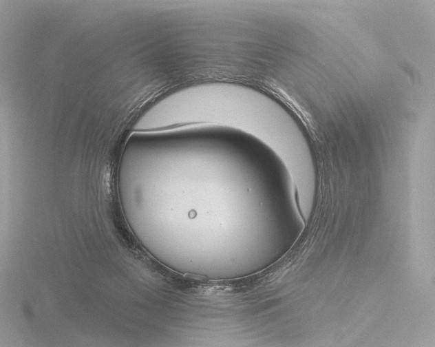 X0000116430117200912221512