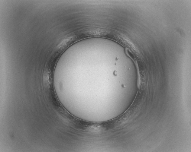 X0000116430119200912221512