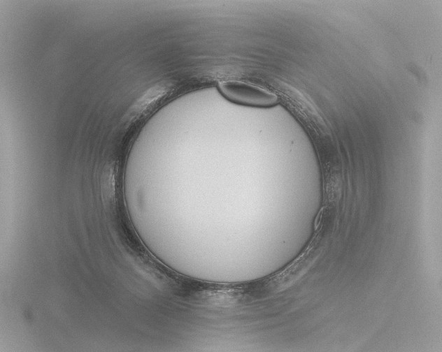 X0000116430120200912221512