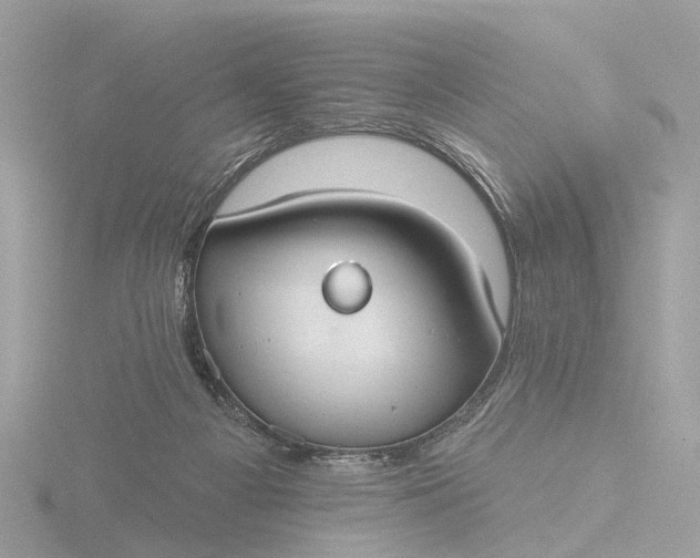 X0000116430121200912221512