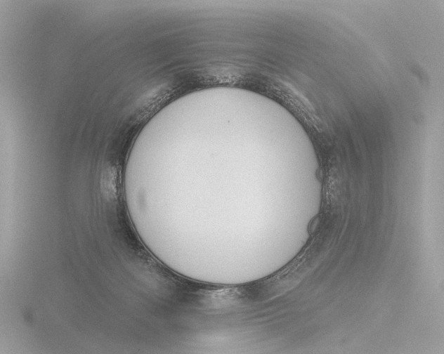 X0000116430122200912221512