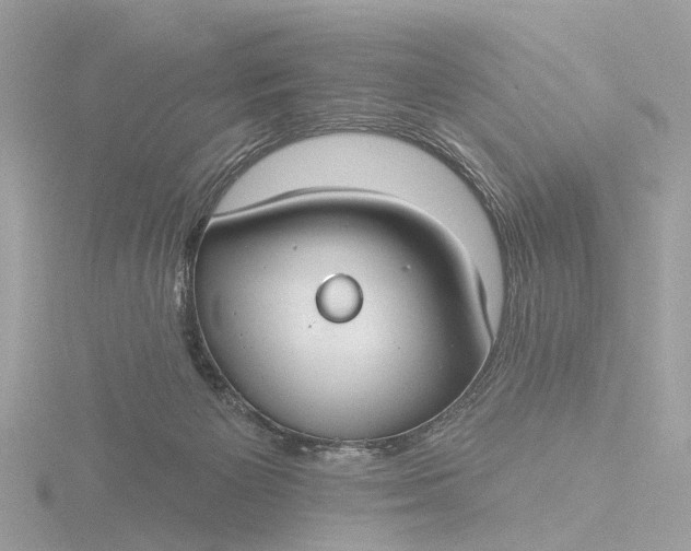 X0000116430125200912221512