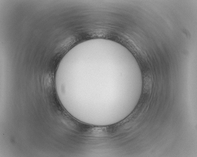 X0000116430126200912221512