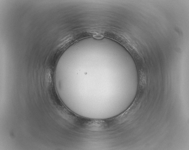 X0000116430128200912221512