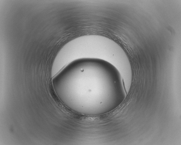 X0000116430129200912221512