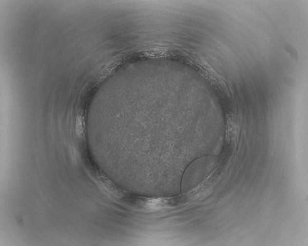 X0000116430130200912221512