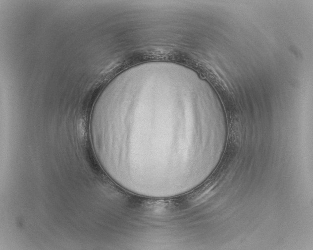 X0000116430131200912221512