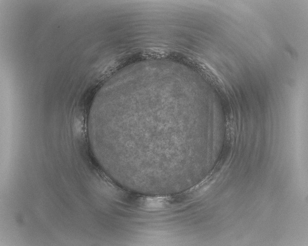 X0000116430134200912221512