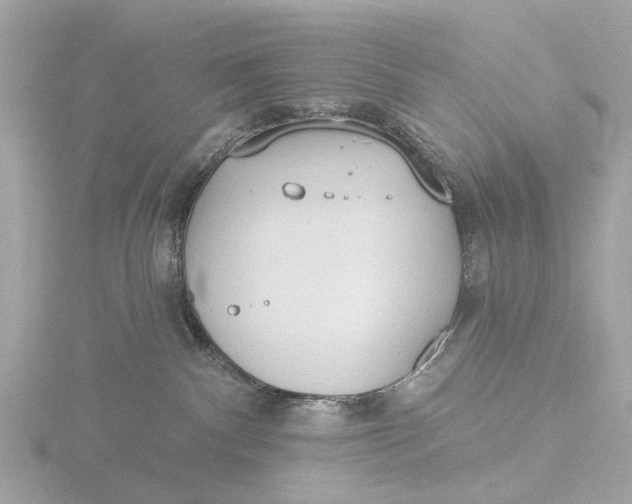 X0000116430140200912221512