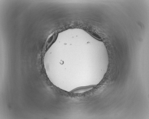 X0000116430144200912221512