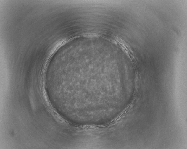 X0000116430145200912221511