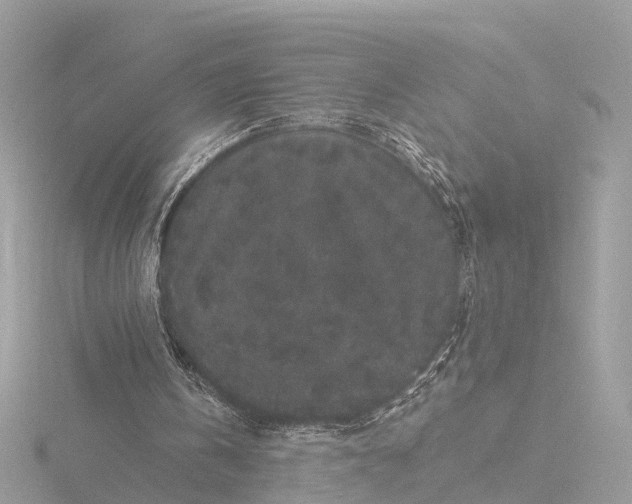 X0000116430146200912221511