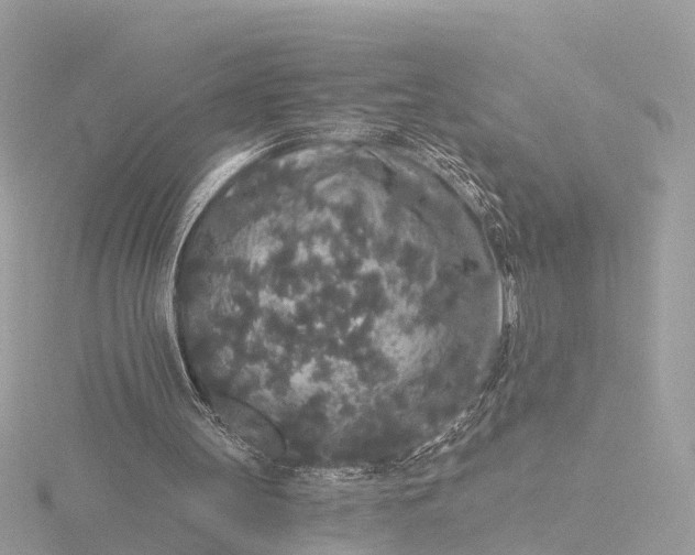 X0000116430147200912221511