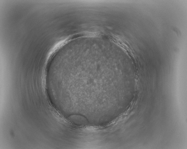 X0000116430149200912221512