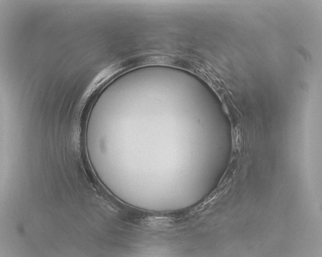 X0000116430150200912221512