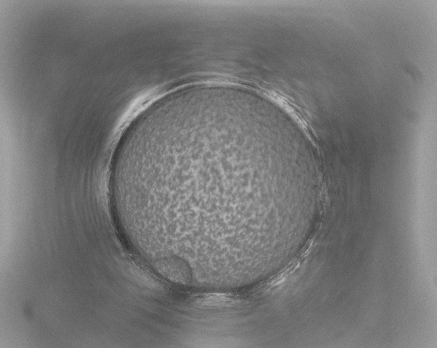 X0000116430151200912221512