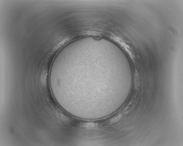 X0000116430153200912221512