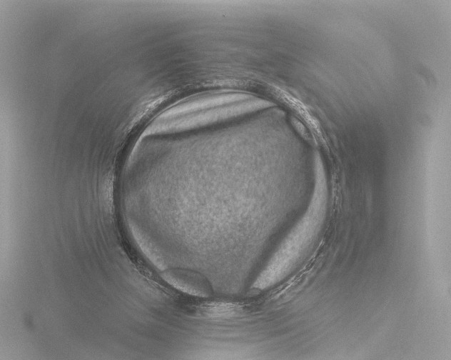 X0000116430154200912221512