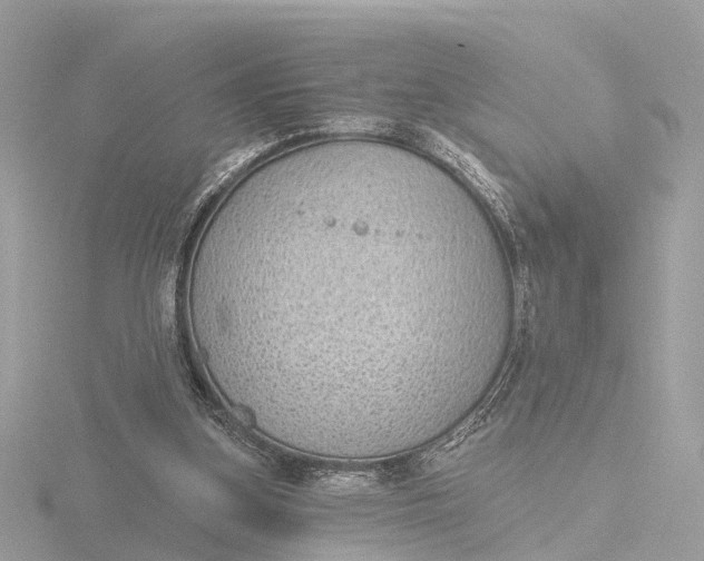 X0000116430155200912221512