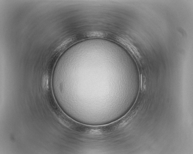 X0000116430157200912221512