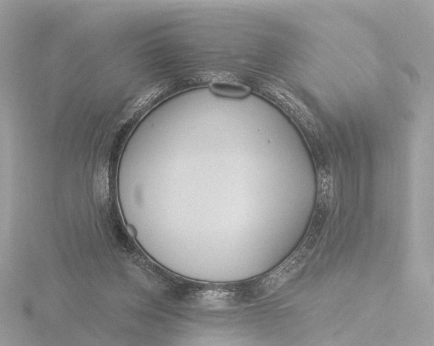 X0000116430158200912221512