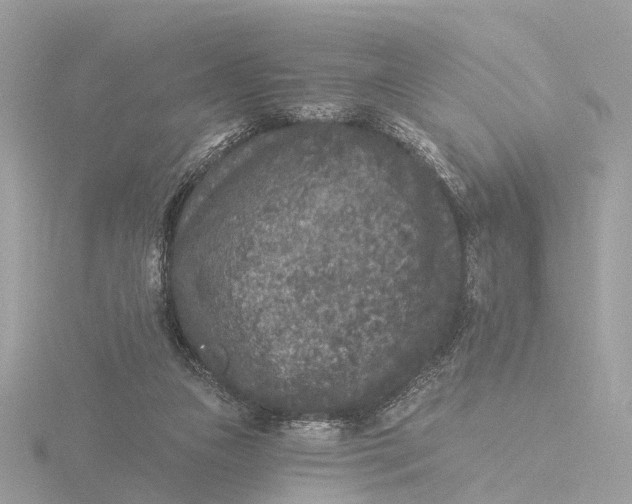 X0000116430161200912221512