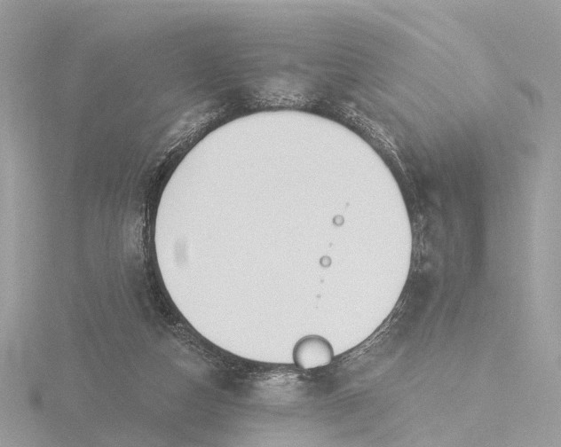 X0000116430162200912221512