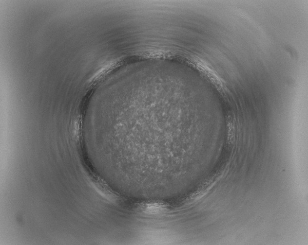 X0000116430165200912221512