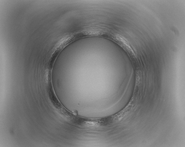 X0000116430167200912221512