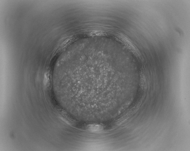 X0000116430169200912221512