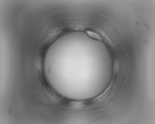 X0000116430170200912221512