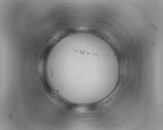 X0000116430171200912221512