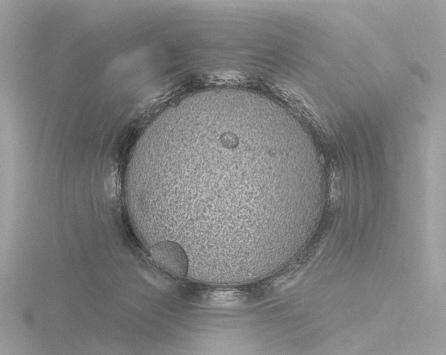 X0000116430173200912221512