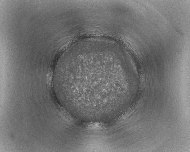 X0000116430177200912221512