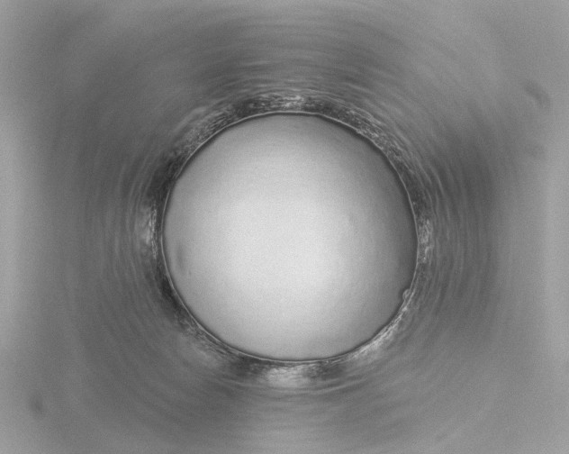 X0000116430178200912221512