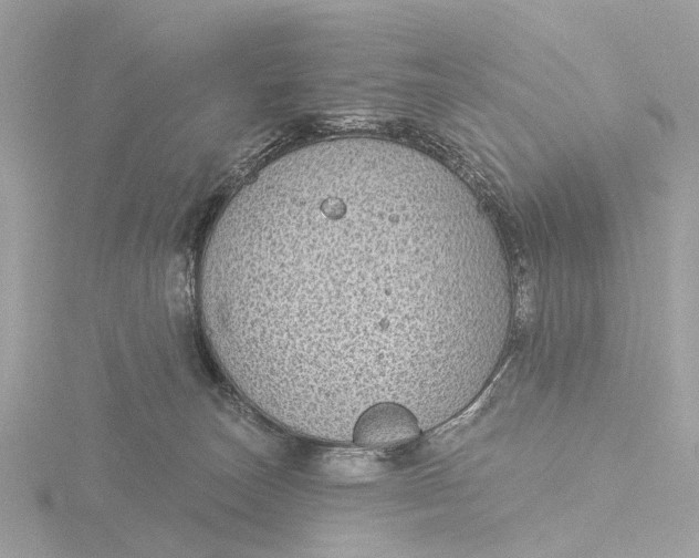 X0000116430179200912221512