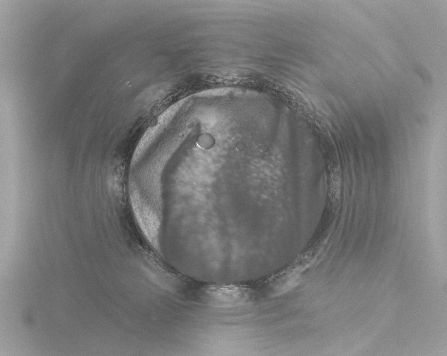 X0000116430181200912221512