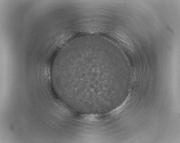 X0000116430182200912221512