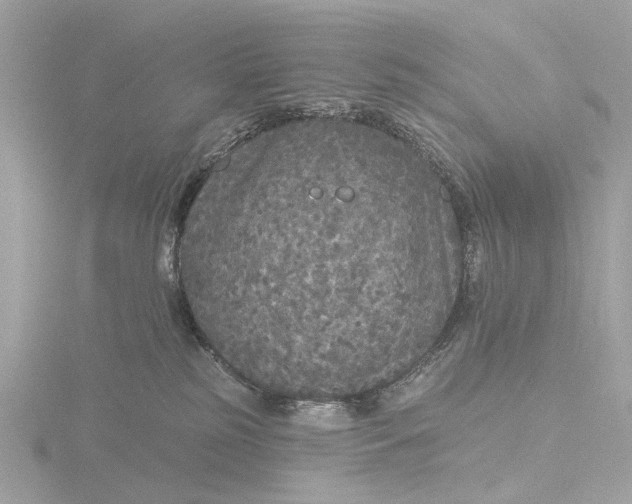 X0000116430185200912221512