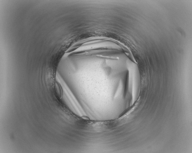 X0000116430186200912221512