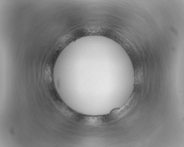 X0000116430187200912221512