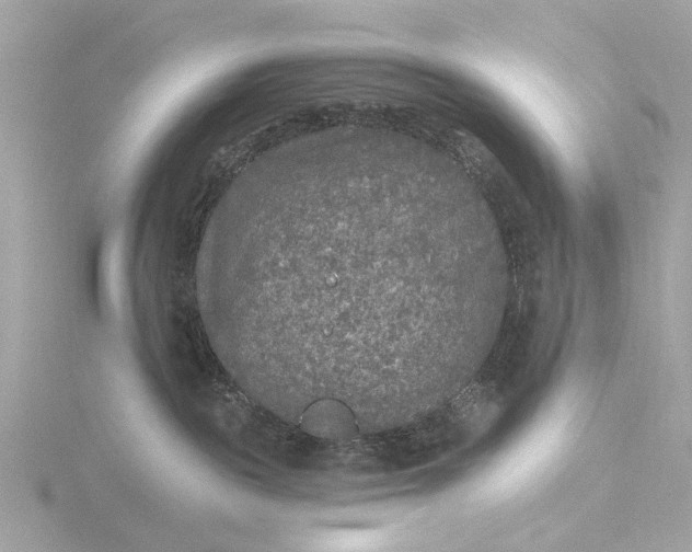 X0000116430189200912221512